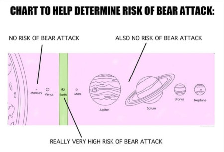 Bear attack!