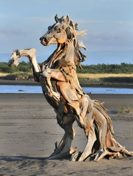 An artist makes amazing sculptures from Driftwood found on beaches