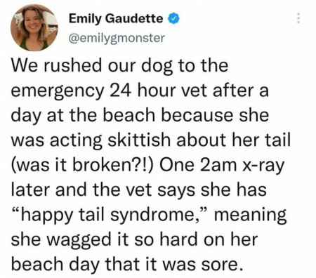 happy tail syndrome!