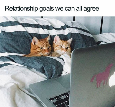 relationship goals we can all agree