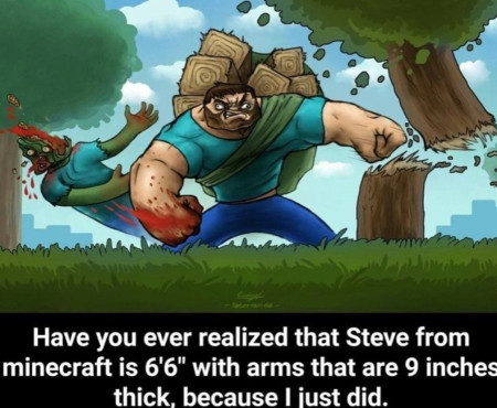 Steve the Body Crafter