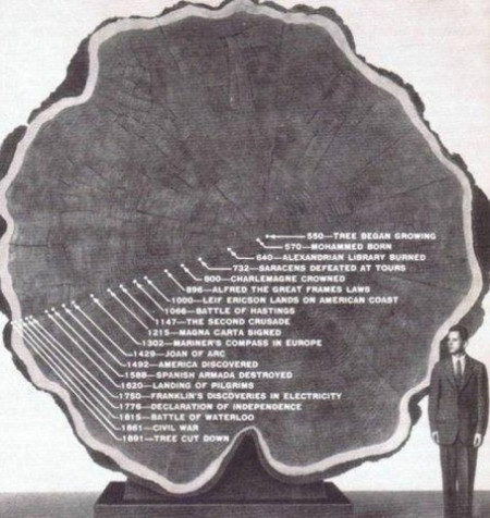 Timeline on a tree