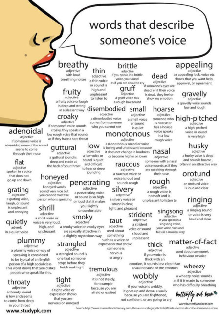 Words that describe someone&#039;s voice