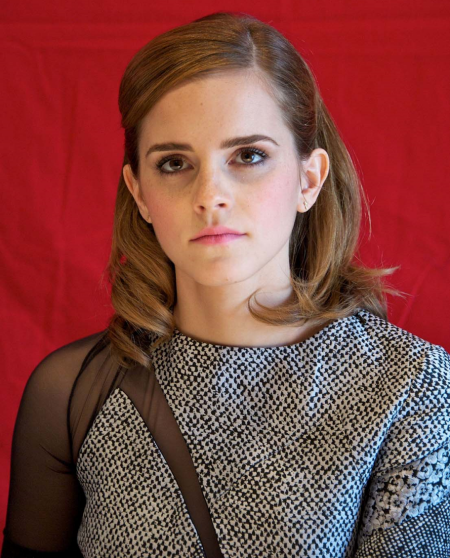 Bling Ring Press Conference, 2013