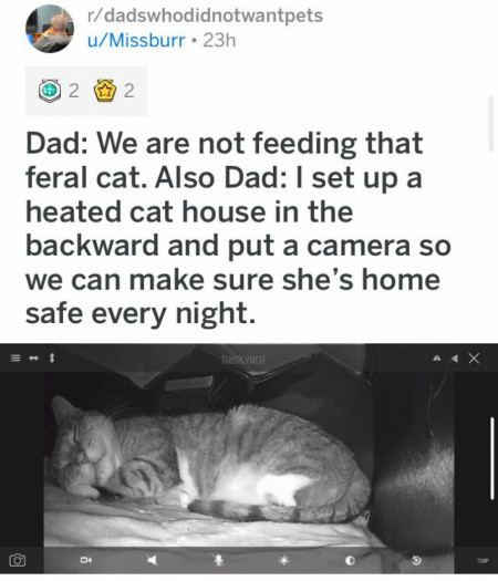 Best pet dad