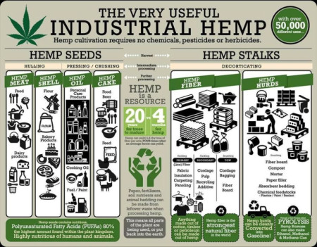 benefits of industrial hemp