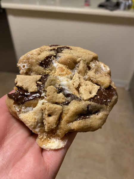 Ooey gooey dark chocolate s‘more cookies