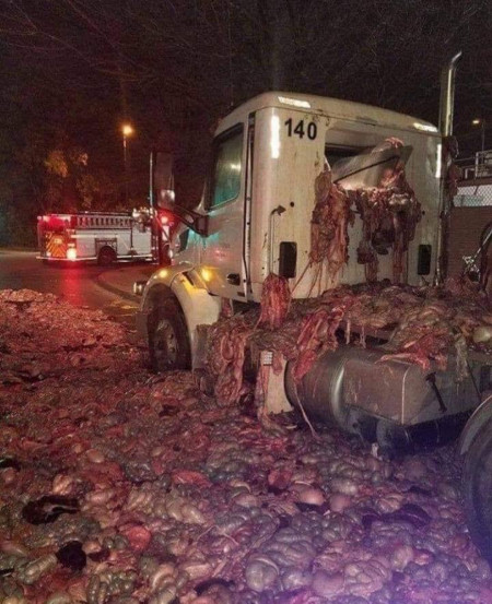 Meat processing gut truck after an accident