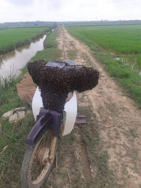 This person went to his rice paddy for some work and returned to this