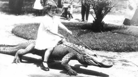 There was once a park where children could play with and ride aligators (California, 1920s)