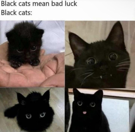 I’ll take 4 bad lucks plz