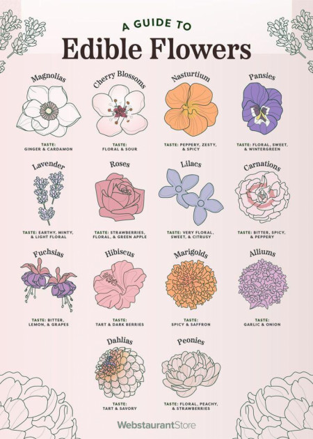 A Guide to Edible Flowers