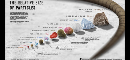 The relative size of particles