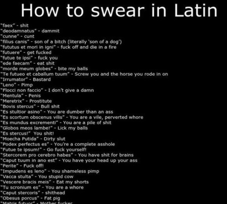 Guide on how to swear in Latin
