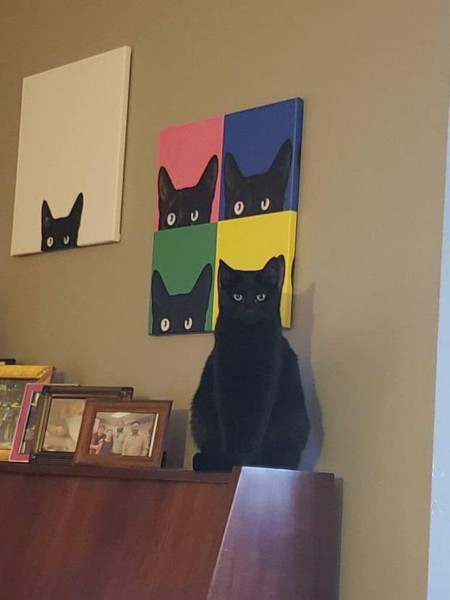 This cat near-perfectly aligned with the portrait 🐱 😍