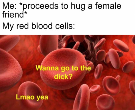 Red blood cells are horny