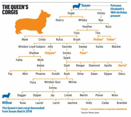 Queen Elizabeth II’s Corgis