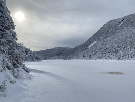 Quiet winter pond