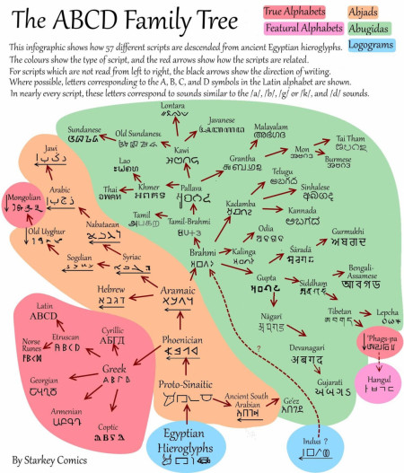 ABCD Family Tree