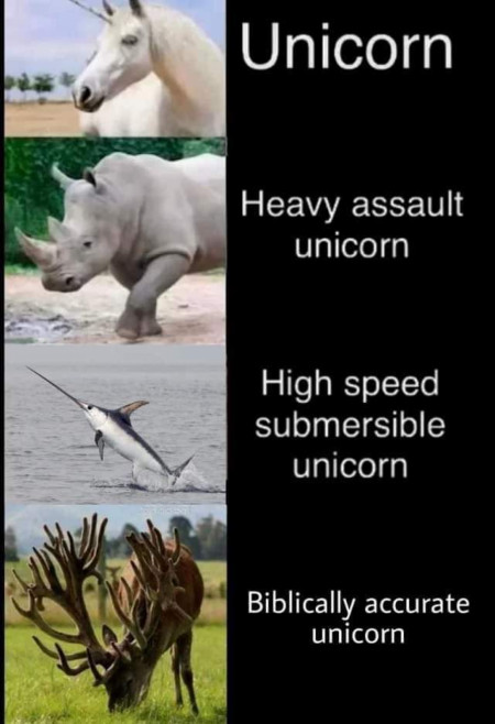 Guide on unicorns