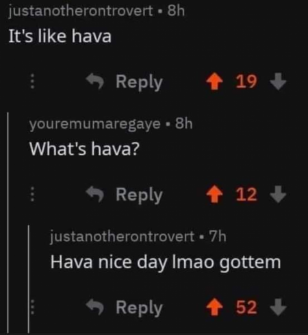 What&#039;s hava?