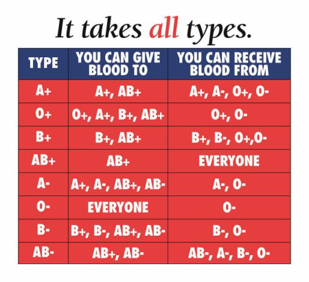 Blood Types: Can Give Blood To, Can Receive Blood From