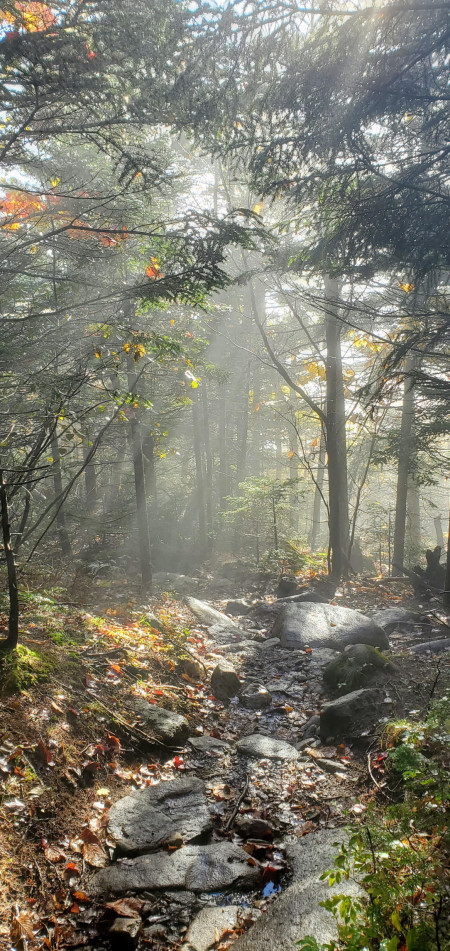 Wilmington Trail, Whiteface Mtn, NY