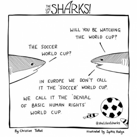 The World Cup