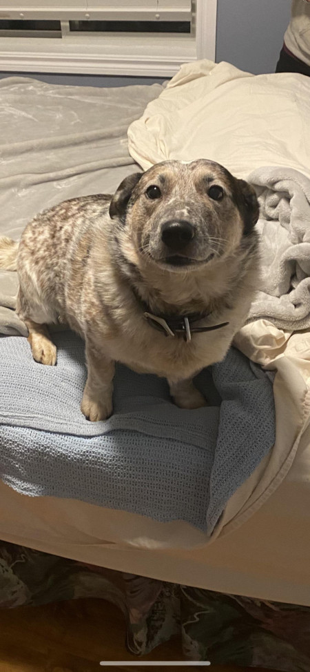 He is pretty pumped that he gets to have a sleepover at Grandmas