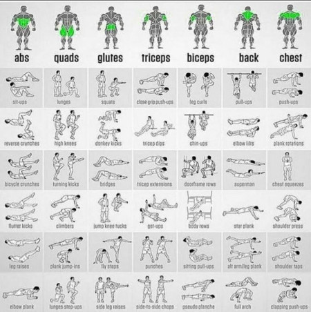 Different exercises and what they do