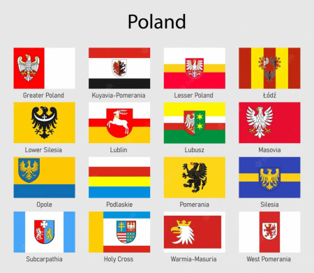 Flags of Polish voivodeships. What do you think?