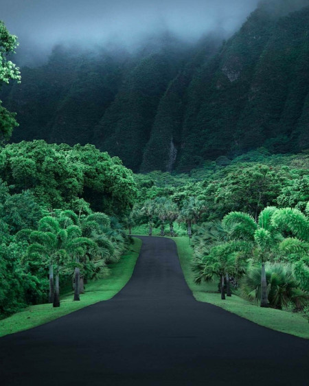 Empty road in Hawaii