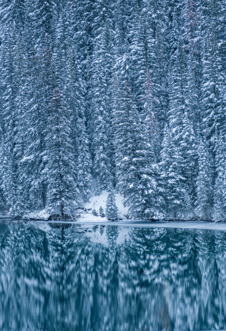 Merry Christmas from Banff, Alberta!