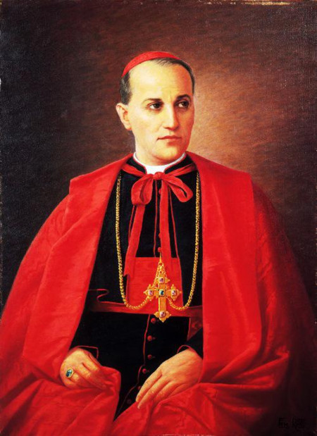 Blessed Alojzije Stepinac, pray for us