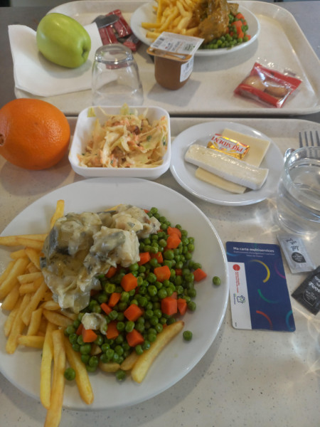 French university lunch, 3, 30€ or 1€ for scholarship holder