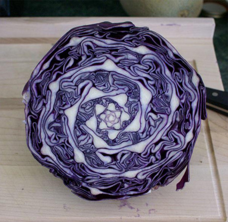 Amazing Natural Geometry of Cabbage