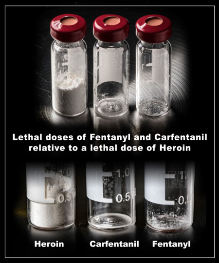 Lethal doses of Heroin vs Carfentanil vs Fentanyl