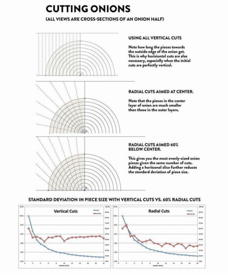 The most consistent way to dice an onion