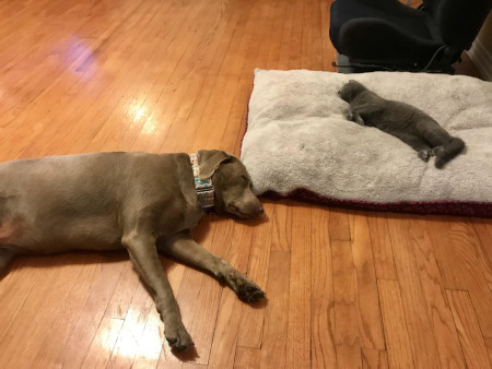 He graciously allowed her a corner of her own bed