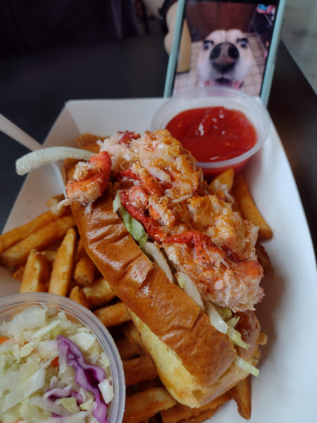 Lobster roll and fries