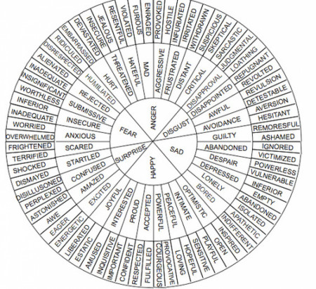 a handy thesaurus wheel of emotions for writers and their characters