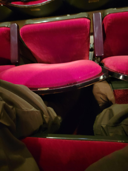 The leg room at Carnegie Hall