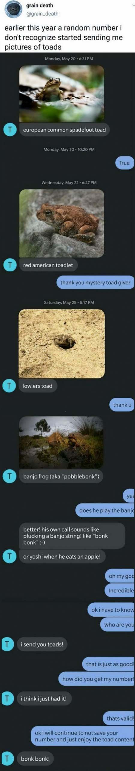 Wholesome toad person