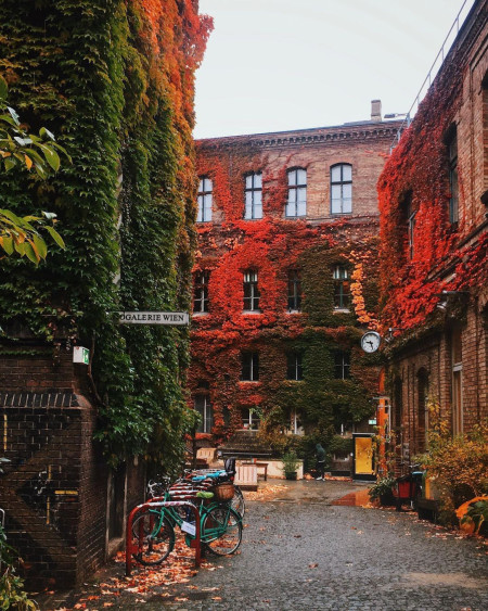 Autumn colors in Vienna