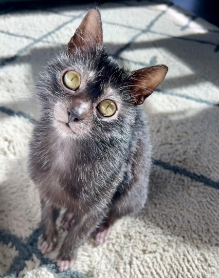 Naked feets and plenty of treats (please ) on this Monday afternoon!