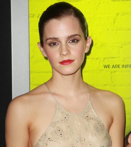 Perks of Being a Wallflower premiere - 2012