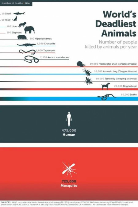 World&#039;s Deadliest Animals