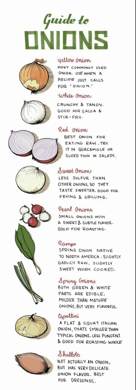 Guide to Onions