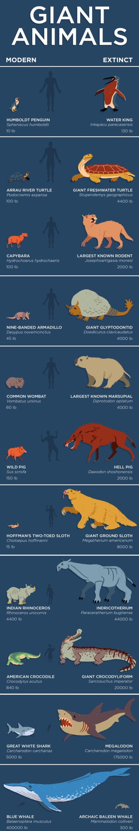 Giant Animals throughout history