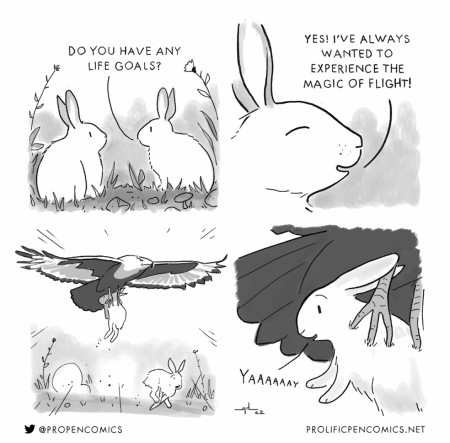 rabbit dreams